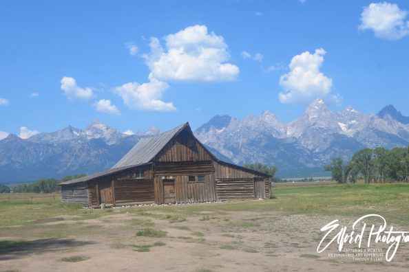 A few pictures from Yellowstone and the Grand Tetons National Parks