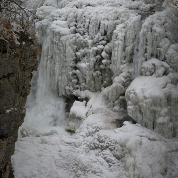 Eagle - Image 31