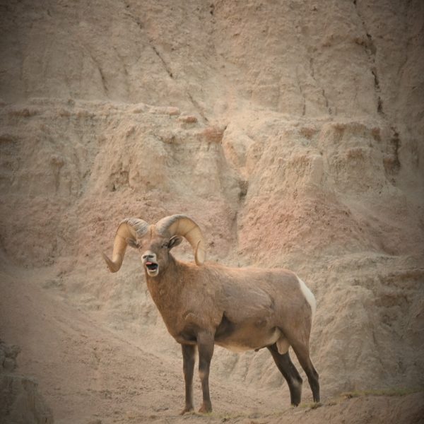 sand and stone hill - Image 4