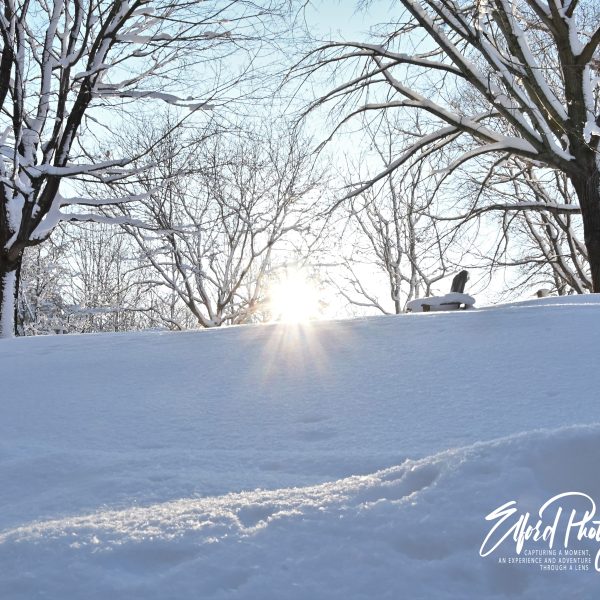 winter - Image 5