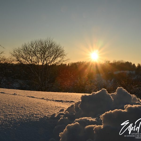 winter - Image 3