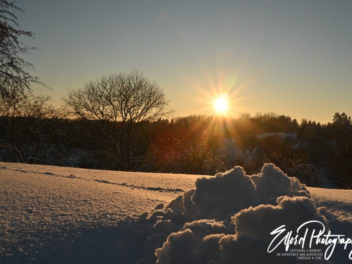 winter