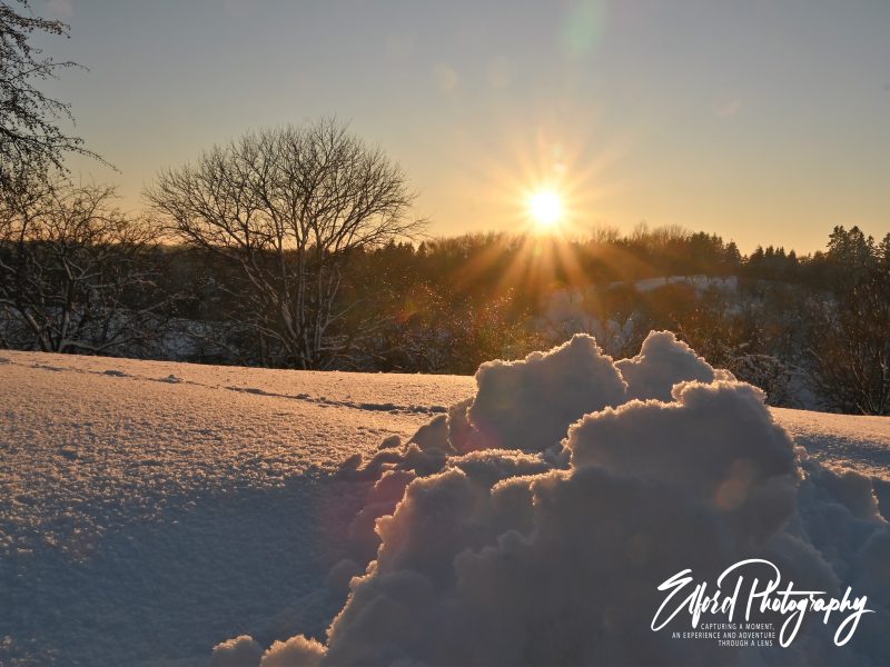 winter