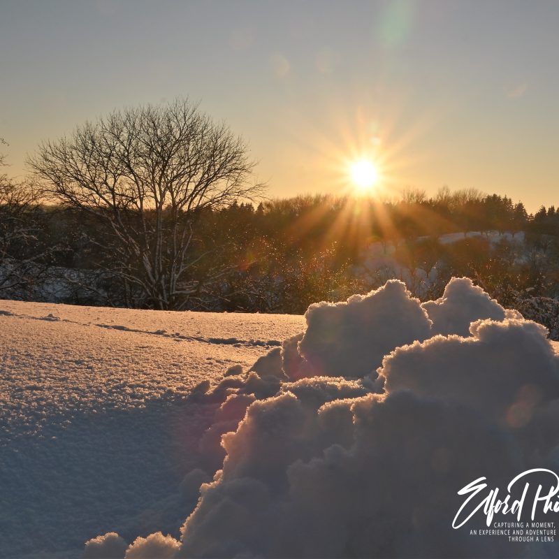winter